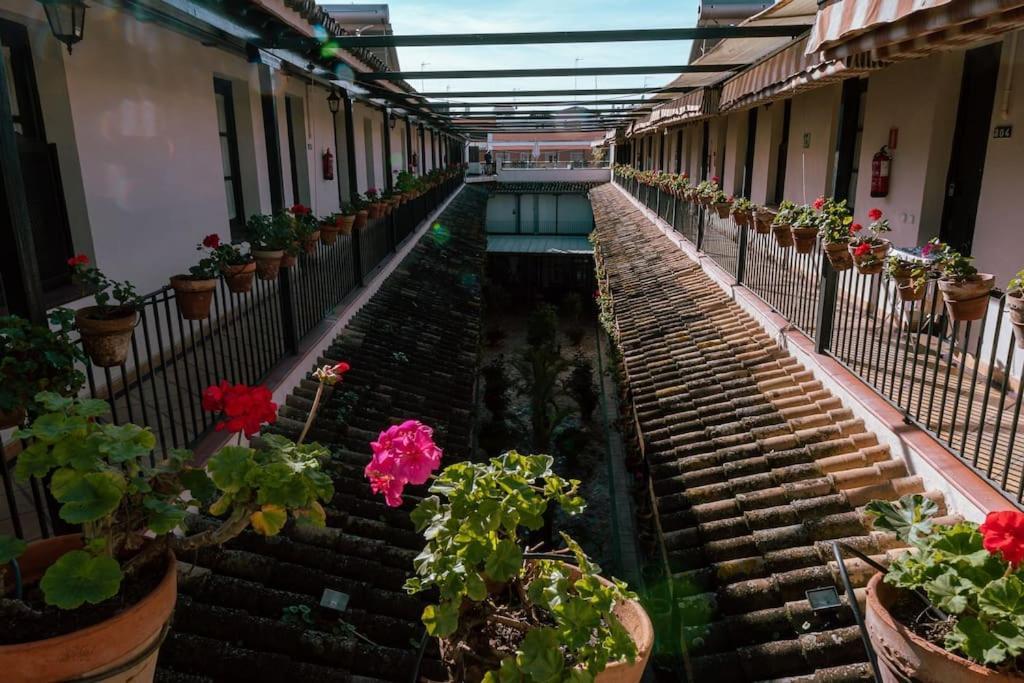 Apartamento Con Encanto En Patio Sevillano Dış mekan fotoğraf