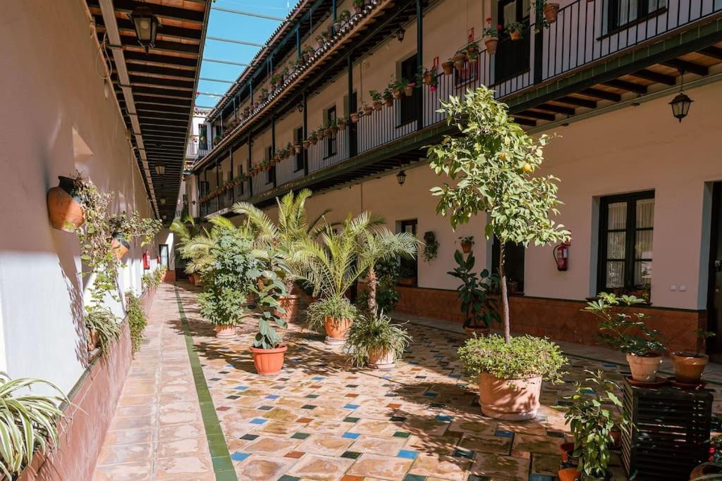 Apartamento Con Encanto En Patio Sevillano Dış mekan fotoğraf